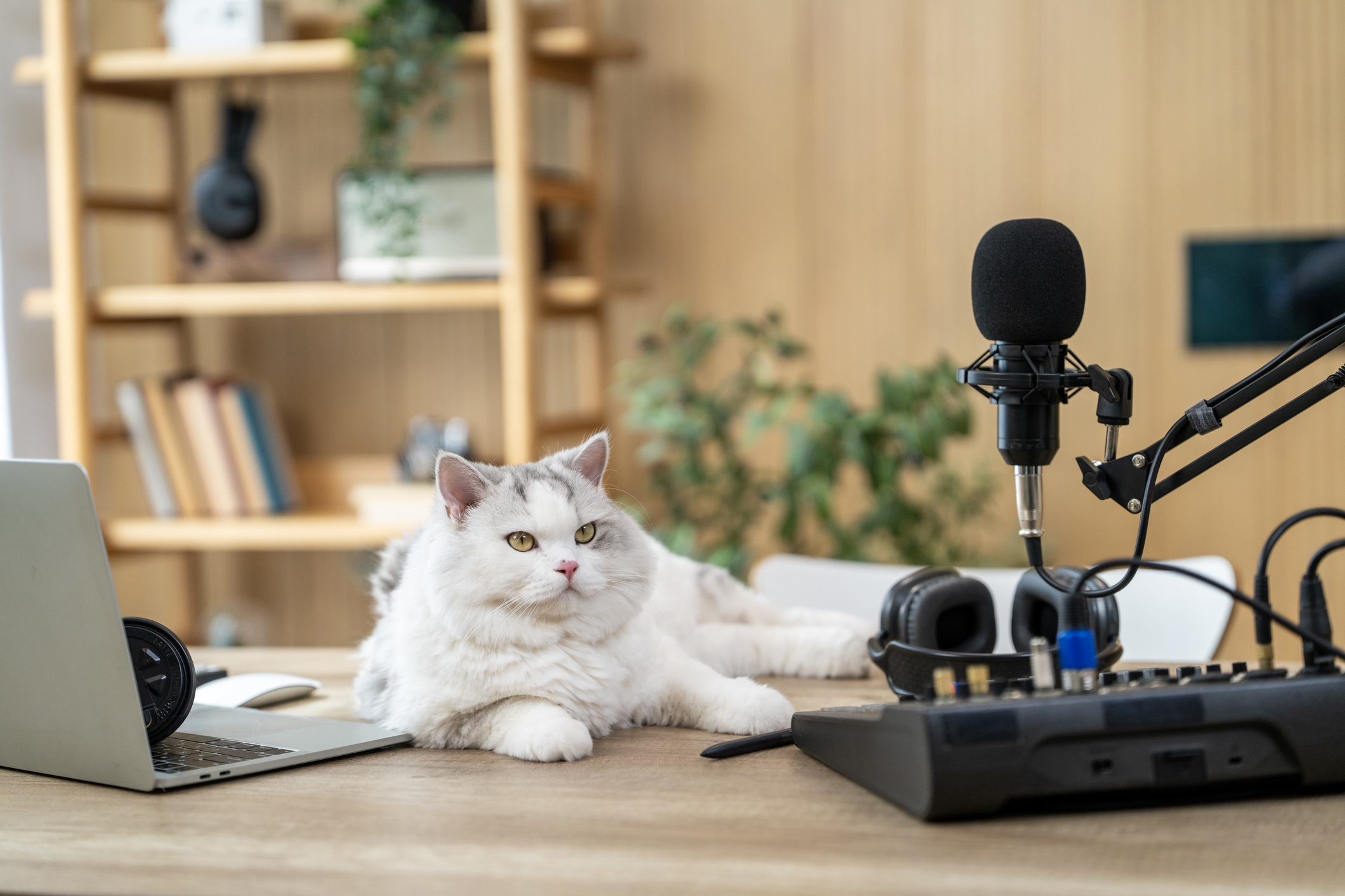 Prenez contact avec nous !